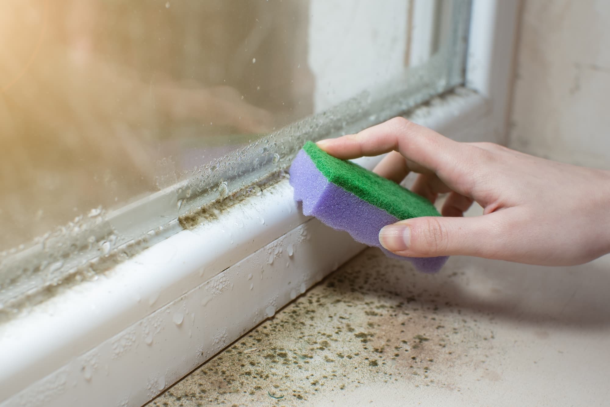 Wet window with sponge